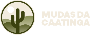 Mudas da Caatinga